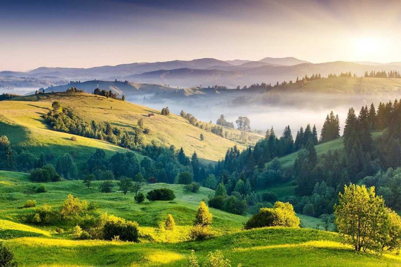 Madurai to Kodaikanal 1 Day Tour Package