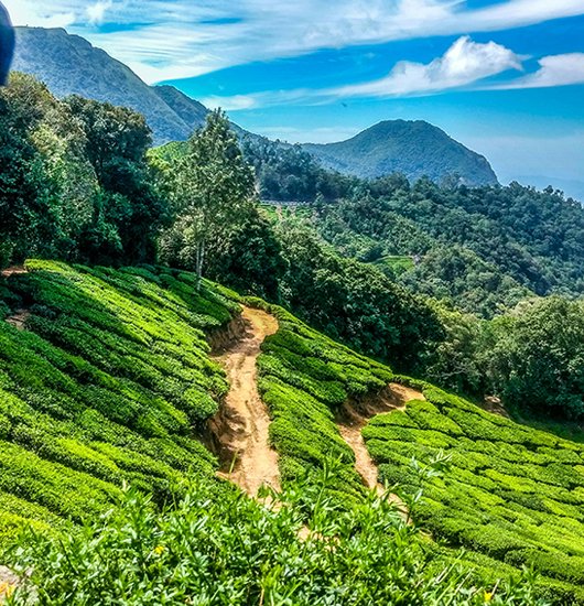 Munnar 2 Days Tour